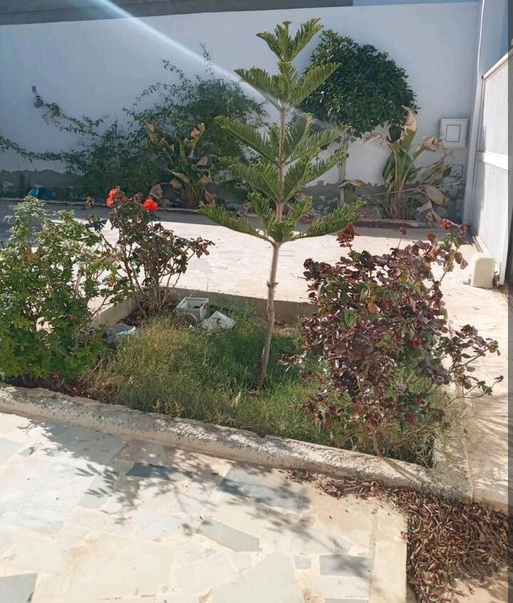 Villa Temim - Housity