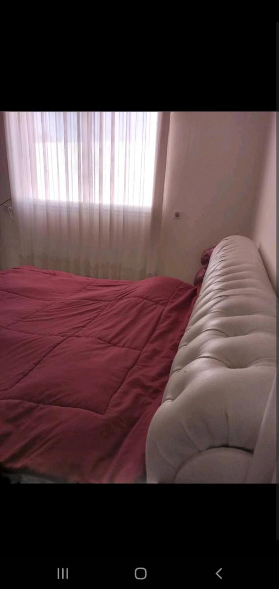 Villa Temim - Housity