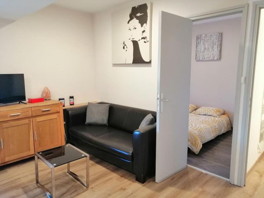 Joyeuse, superbe appartement d'environs 30m2. - Housity