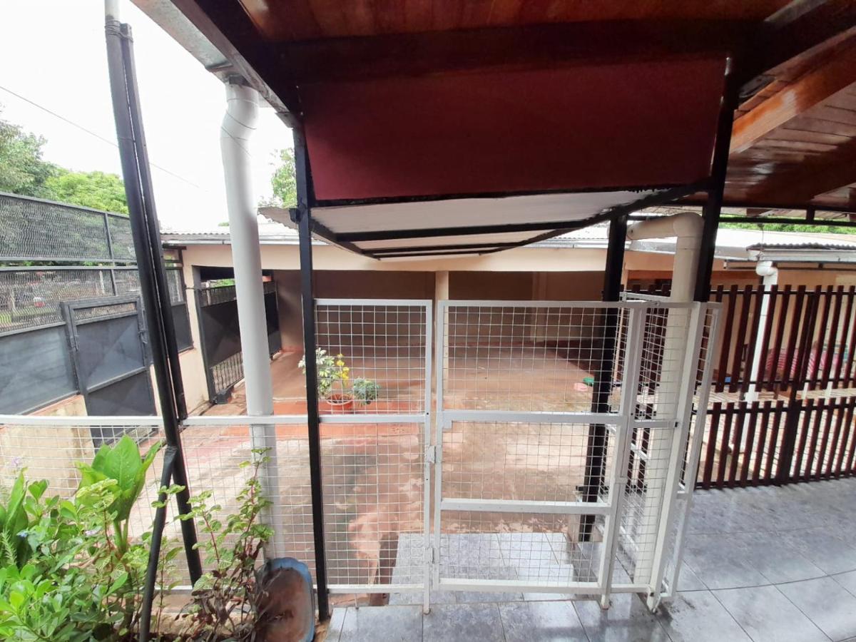 Kitin Iguazú - Housity