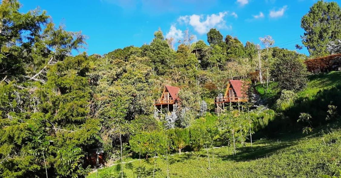 Suitetrails - Chalets en Santa Elena en medio del Bosque