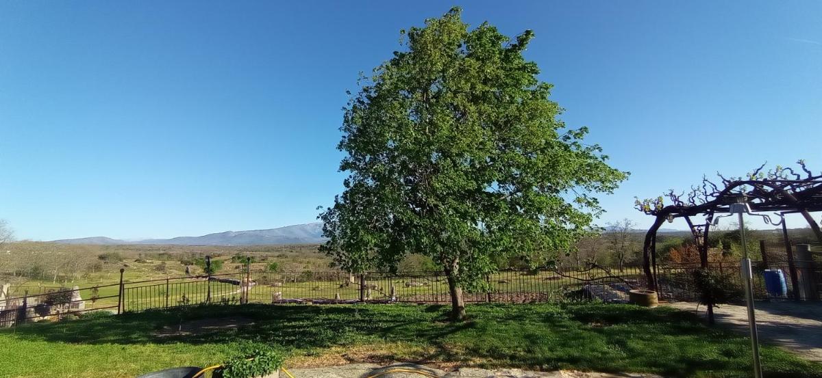 Suitetrails - Bodega Ca'tio Celso