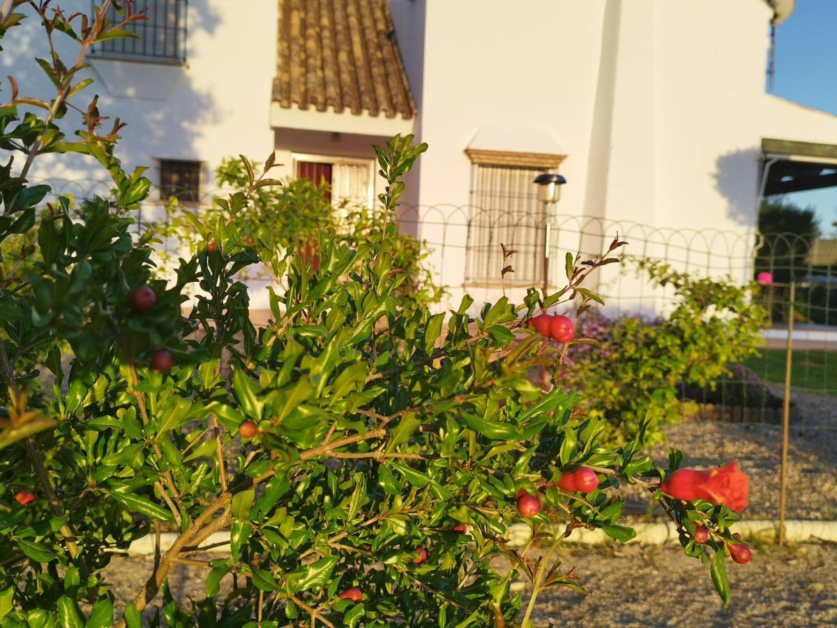 Suitetrails - Casa con jardín