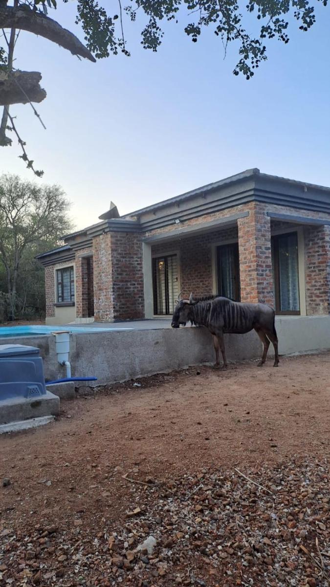 Suitetrails - Nanisto Bush Lodge