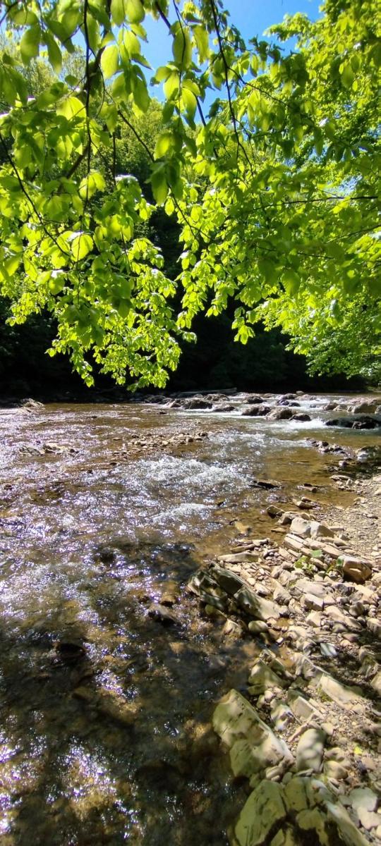 K85 Baza Noclegowa Wypadowa Bieszczady Beskid Niski - Housity