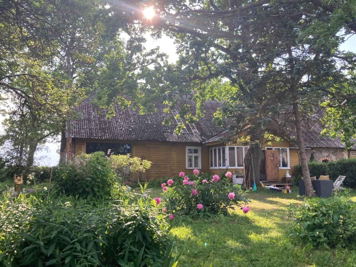 Zen Garden House - Housity