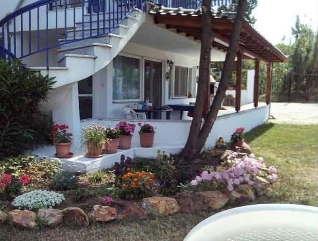 ALMADOL HOUSE Chalkidiki Τρυπητή Χαλκιδικής - Housity