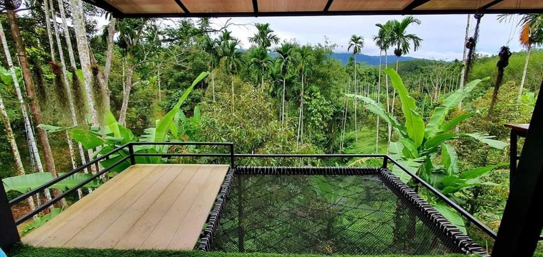 Chill chill homestay - Housity