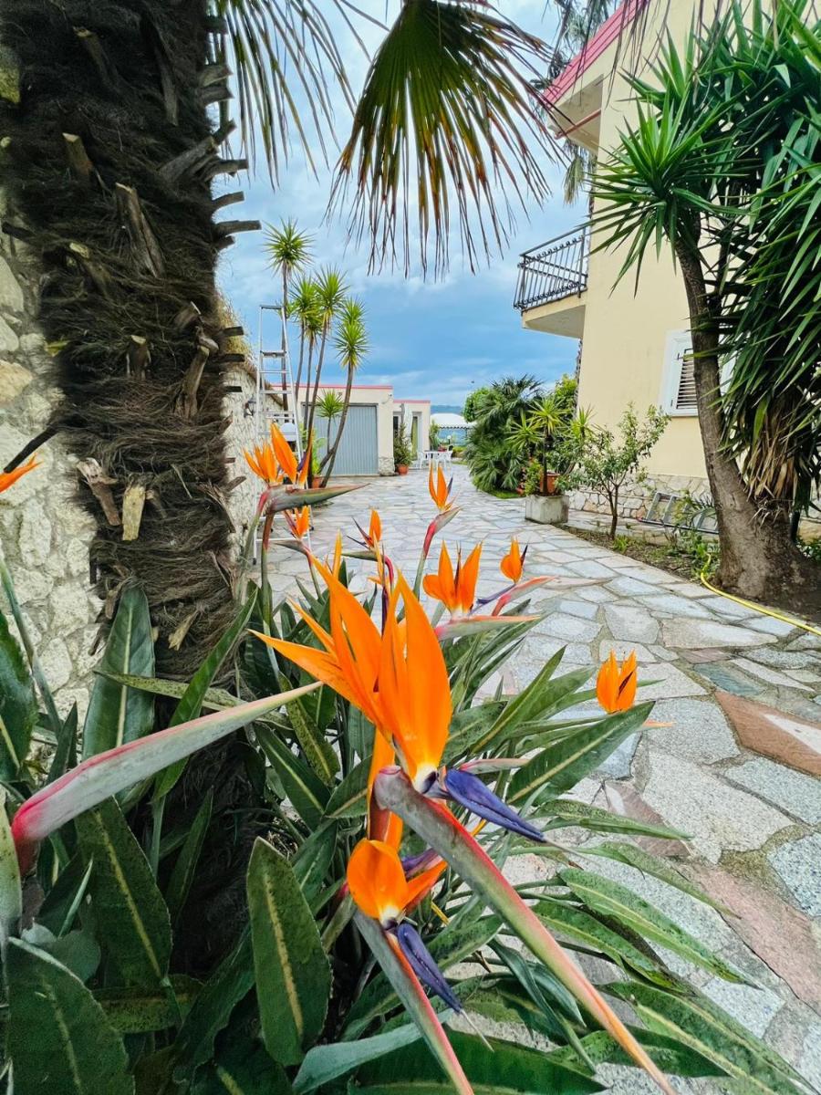 Villa Marina B&B - Housity