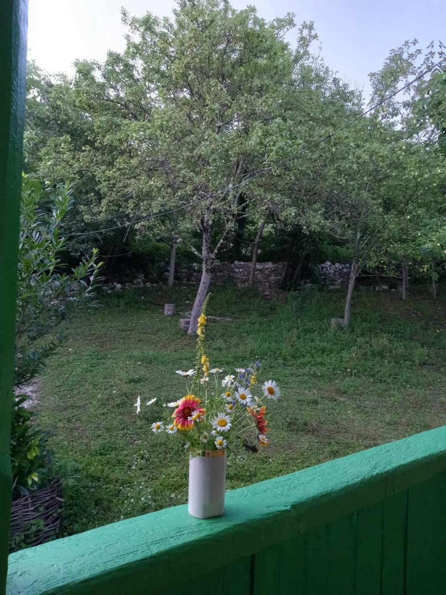 Guest House Guliada - Housity