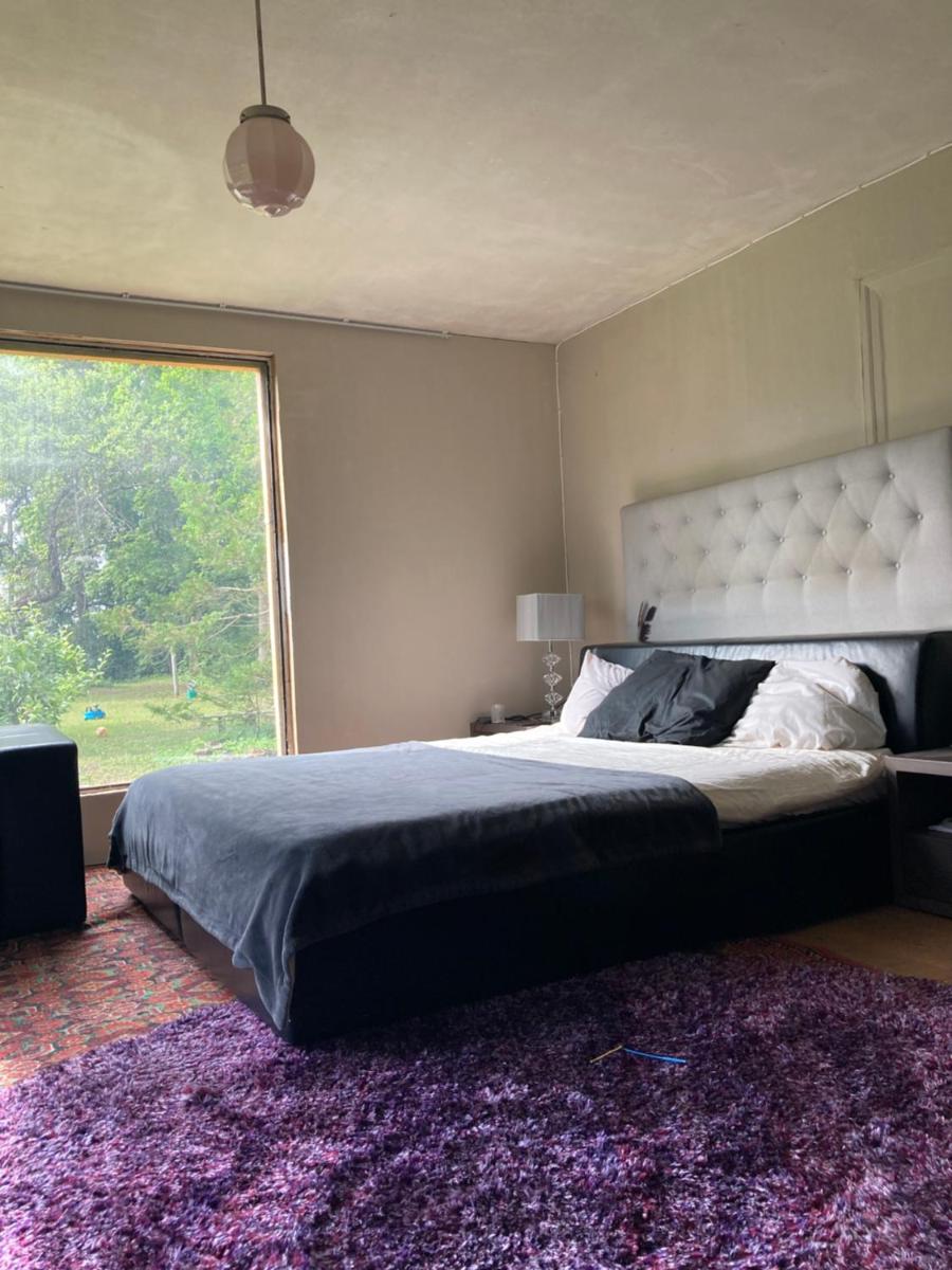Zen Garden House - Housity