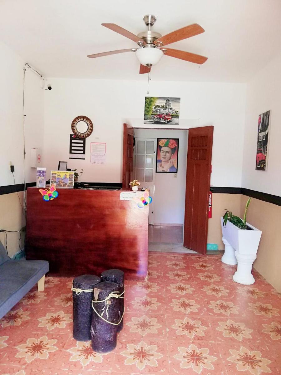 Hotel Zazil-Naj - Housity