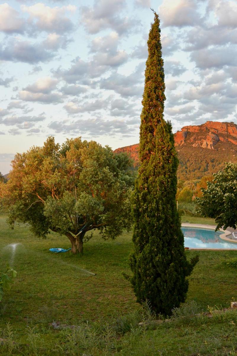 L'Albaida, tranquility, views of sea and mountains - Housity