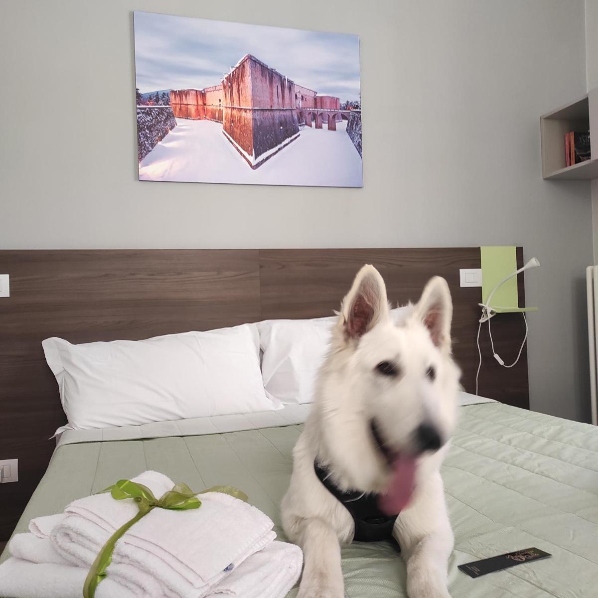 La Terrazza del Quarto - Housity