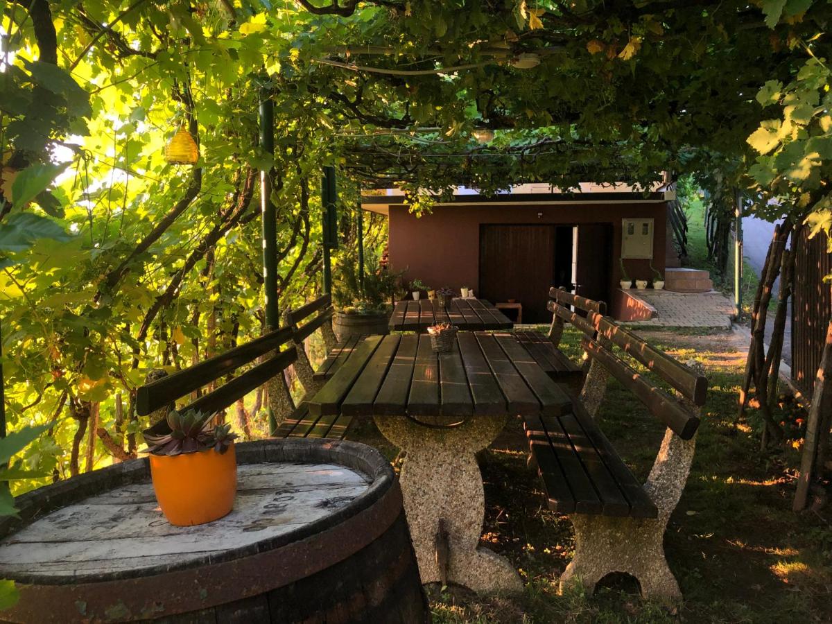 Suitetrails - Adorable guesthouse in the middle of vineyards