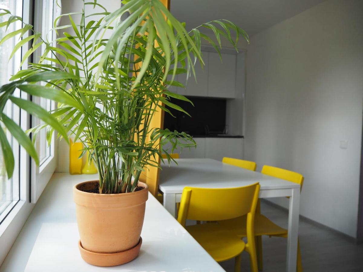 Suitetrails - Sunny apartment with lake and forest view
