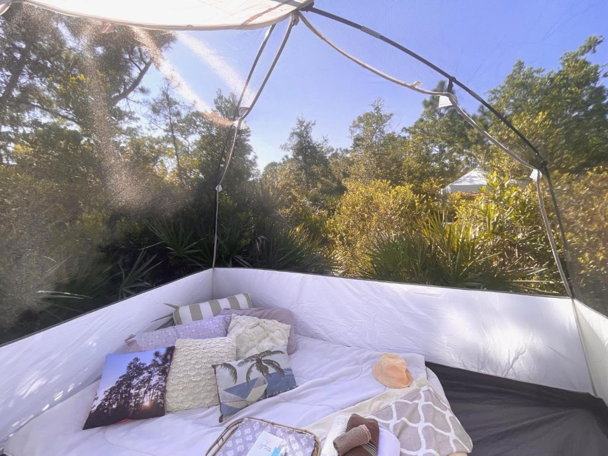 eco-dome off-grid garden glamping - Housity