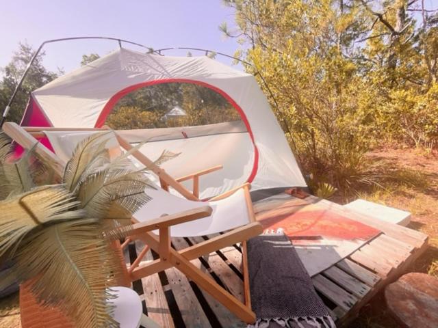 eco-dome off-grid garden glamping - Housity