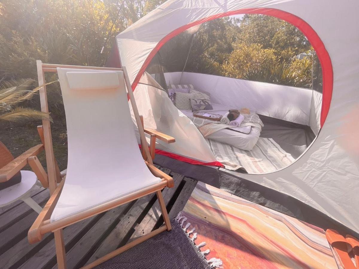 eco-dome off-grid garden glamping - Housity