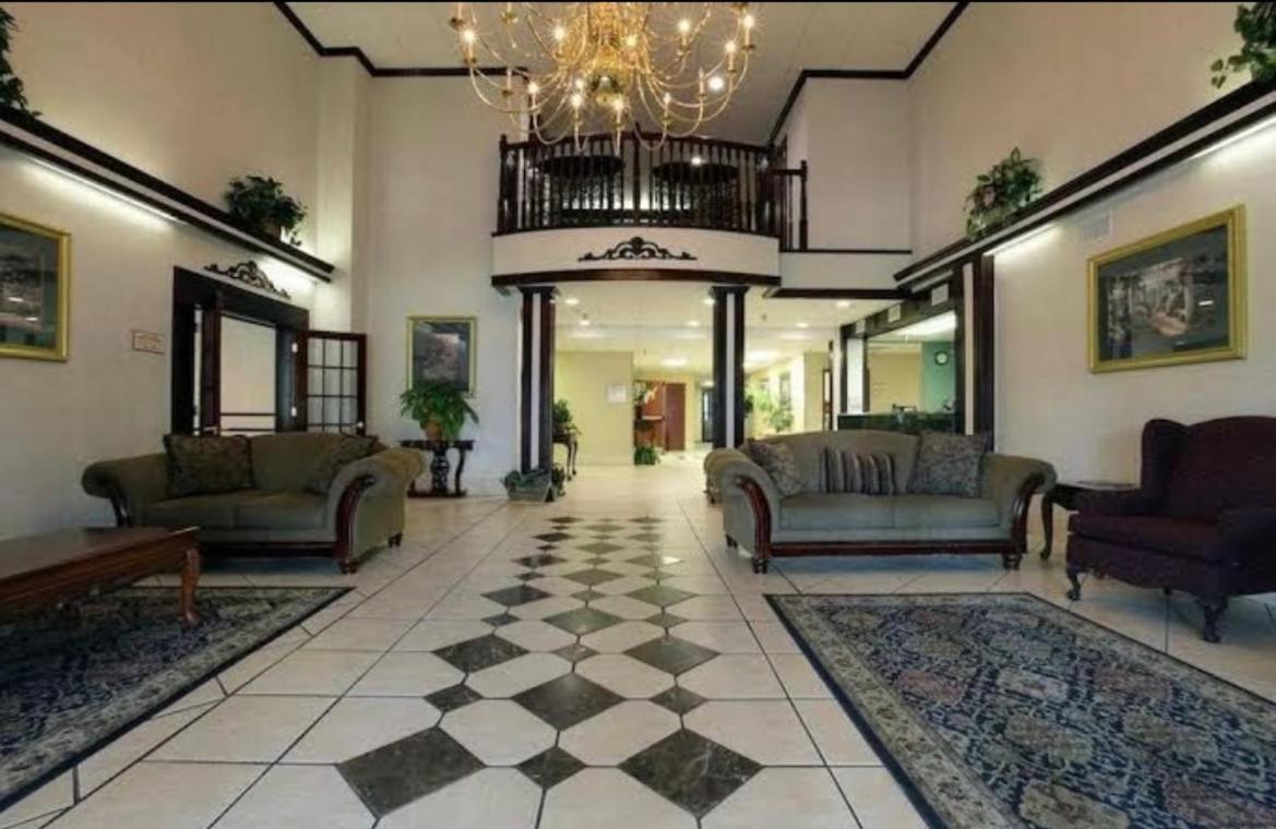 Ark Suites - Housity
