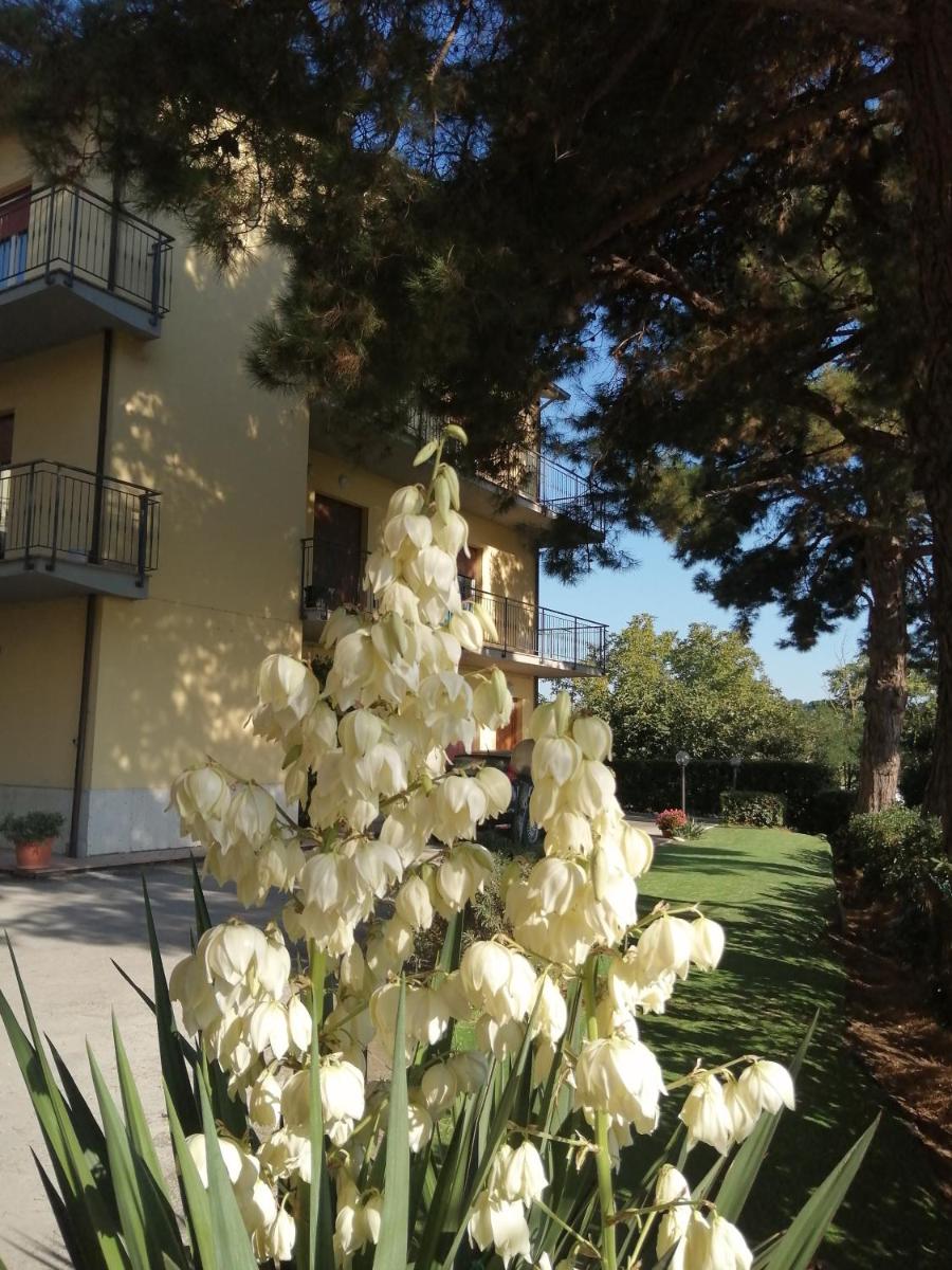 Affittacamere Roberta - Housity