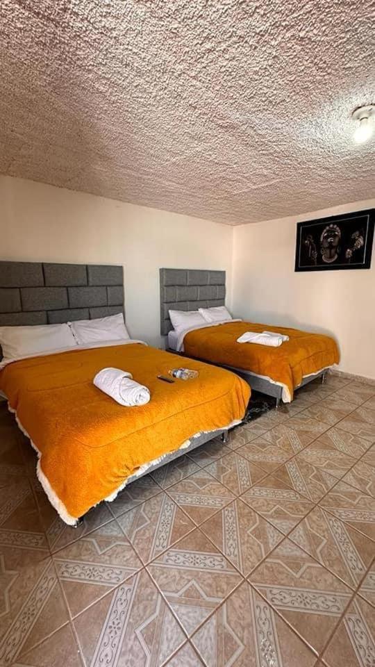 Hotel Don Quijote - Housity