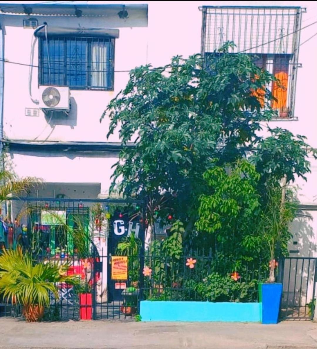 GREEN HOUSE Hostal - Housity