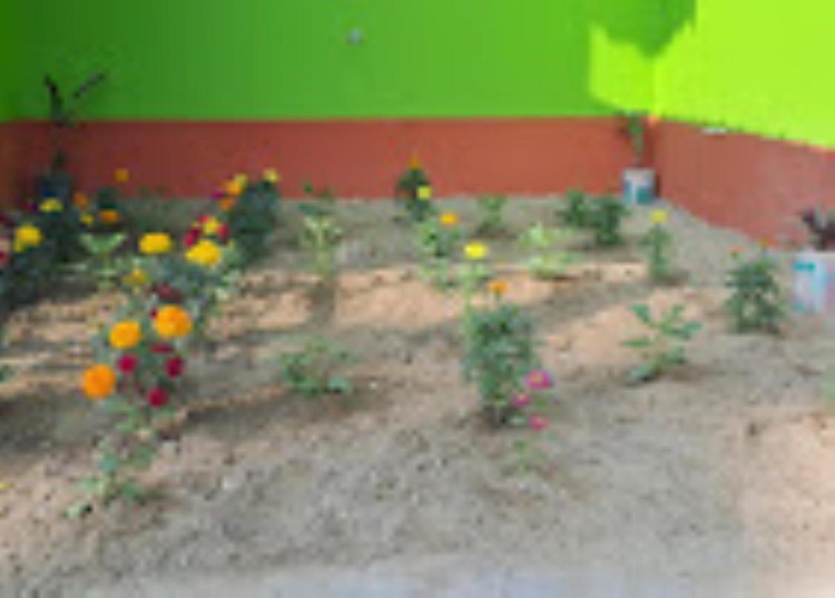 Myna Eco Camp ,Raghabbil - Housity