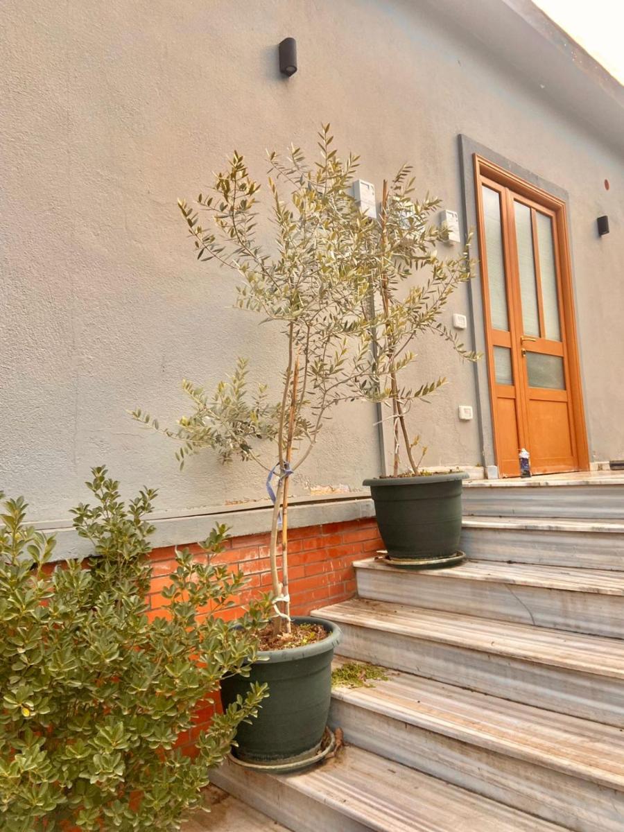 Suitetrails - RENT ROOM -RENI -