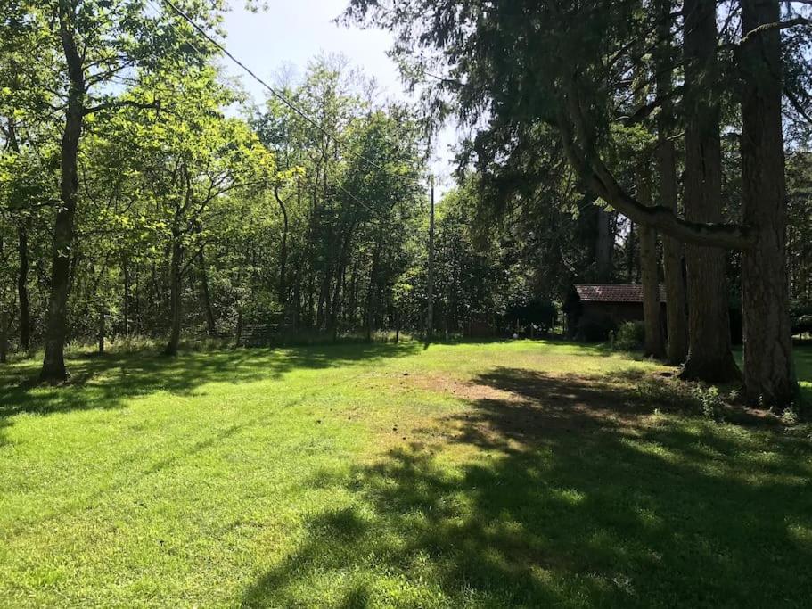 Chalet cozy au milieu des bois - Housity