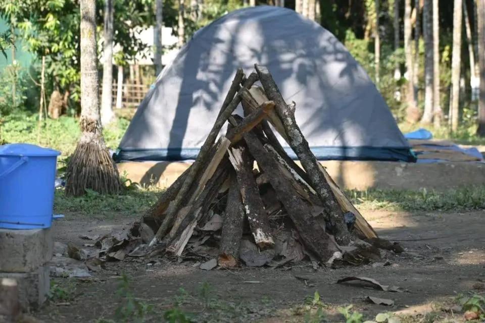 Sultan Tit - Housity