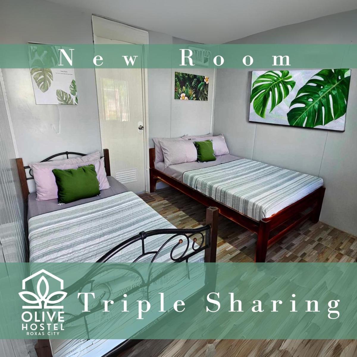 Olive Hostel Roxas City - Housity