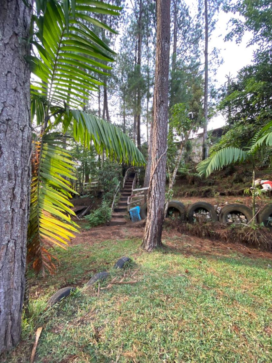 Suitetrails - Casa Santa Cruz