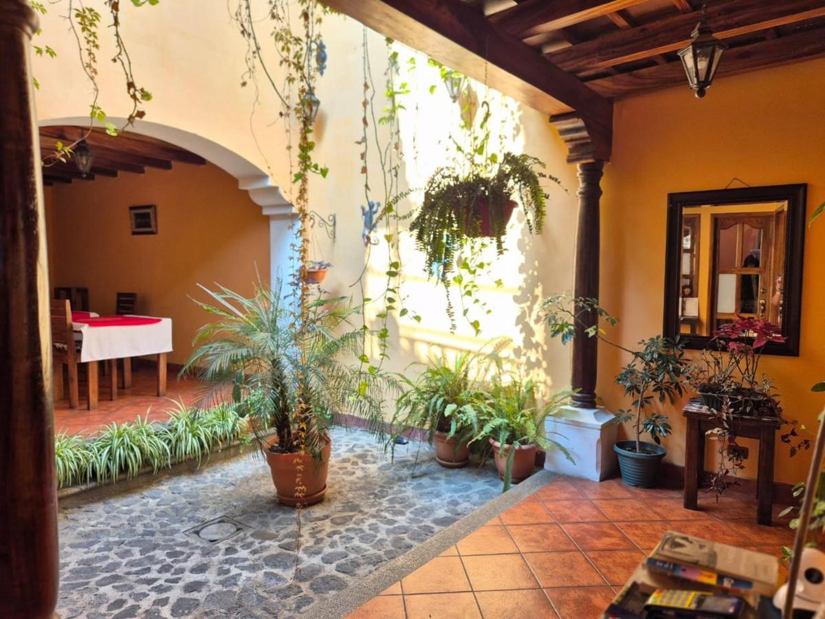 Hotel Casa Sofia - Housity