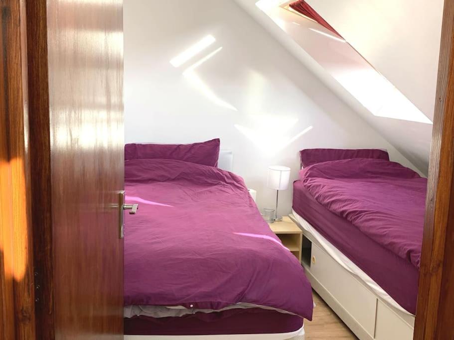 Comfortable Private Room in a Friendly Home in Headington next to Brookes University Oxford, C - Housity