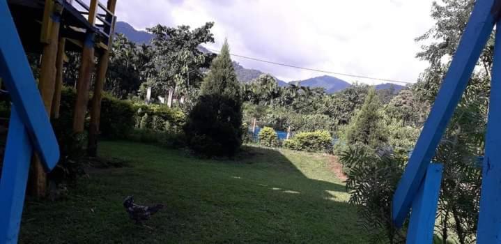 Raimatang Mountain View Homestay - Housity