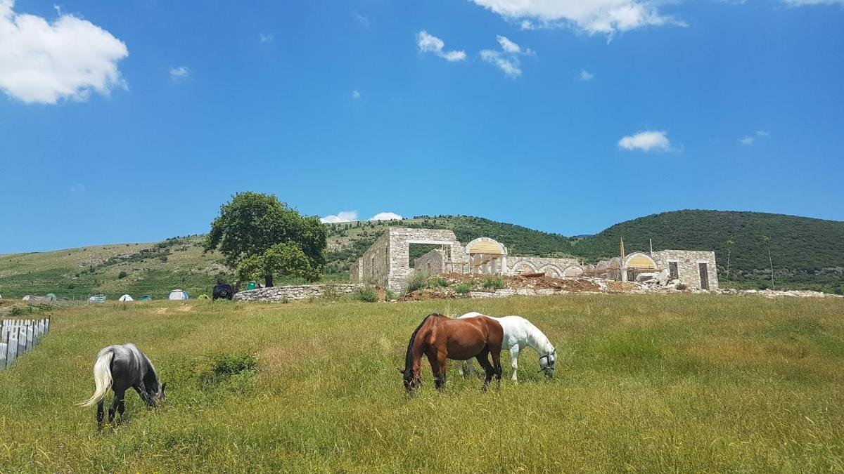 Suitetrails - Saffron House Nivica