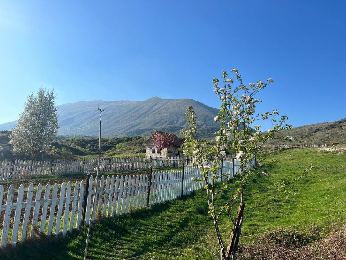 Suitetrails - Saffron House Nivica