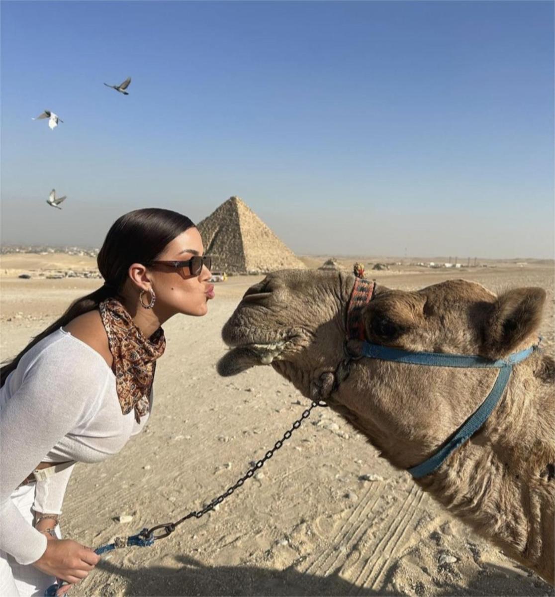 Pyramids Circle INN Middle East View - Housity