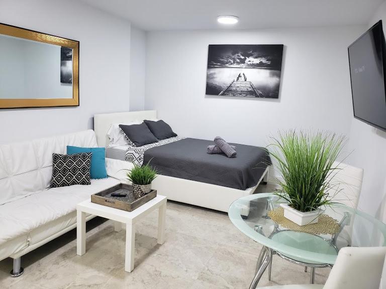 Suitetrails - Apts with Backyard Near Fort Lauderdale Beach, Nightlife, Cruise Port, Airport