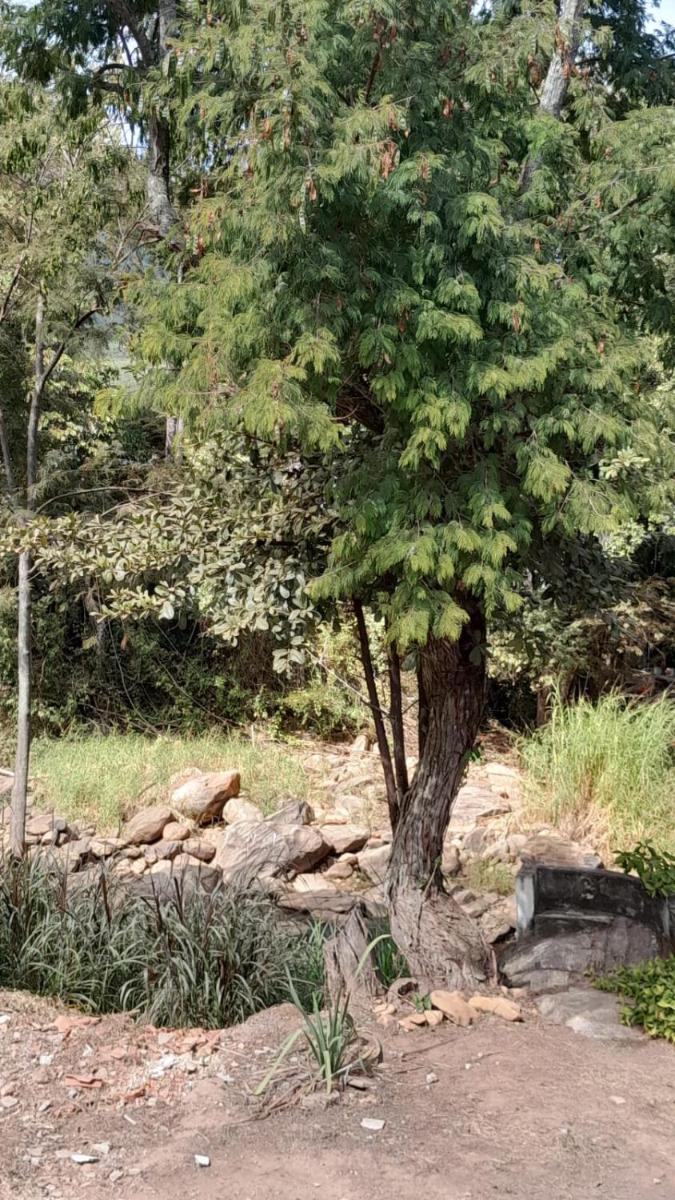 Espaço Bella Ville - Housity