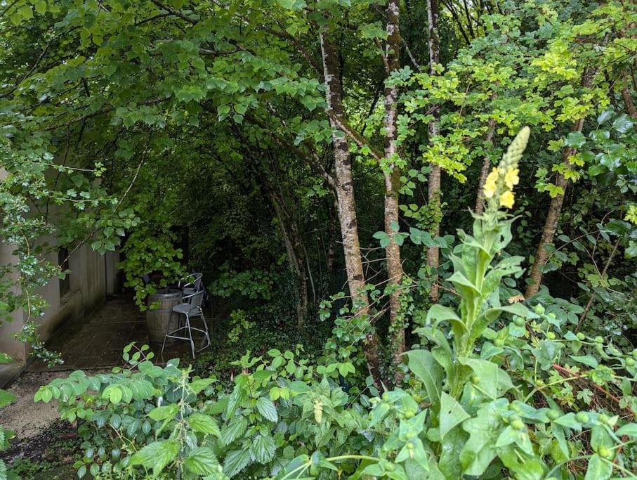 Gîte zen dans les bois - Housity