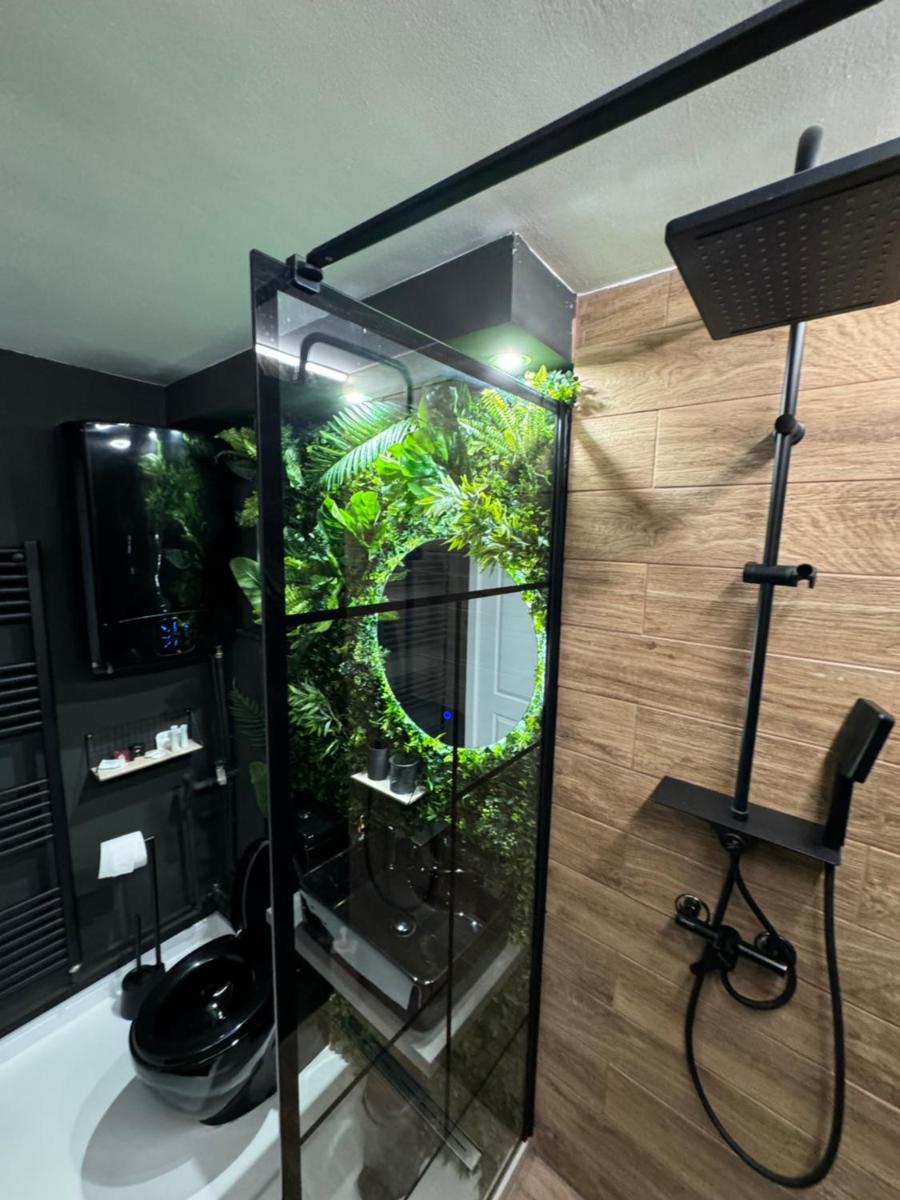 Suitetrails - Apartamentul 40