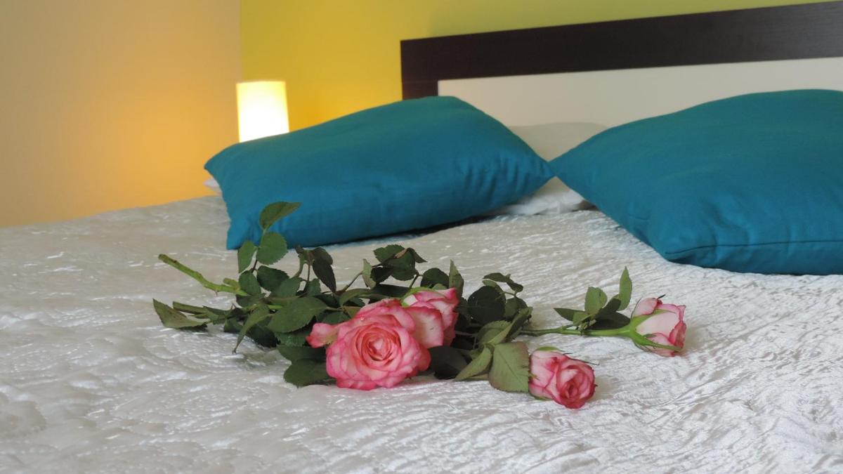 Apartament Grey - Housity