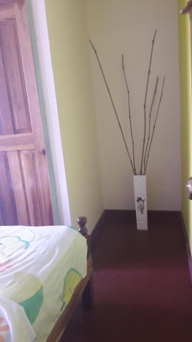 Suitetrails - Bastimentos Caribean Hotel