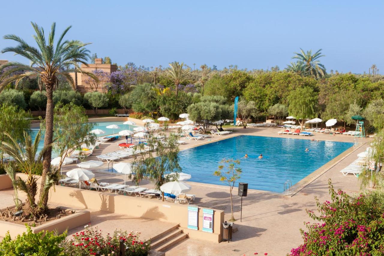 Outdoor swimming pool with lounge chairs and palm trees on a sunny day.