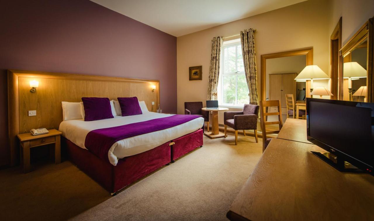 Cozy hotel room with double bed, purple accents, sitting area, desk, and TV.