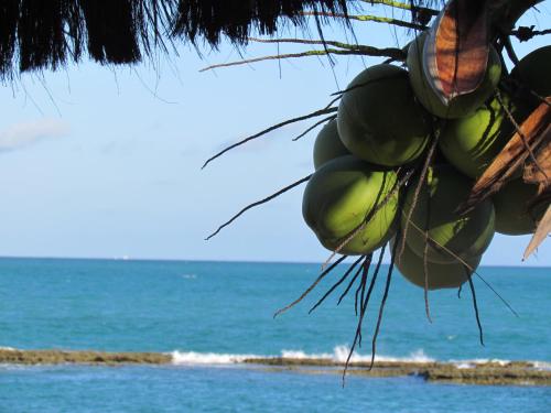Beira-mar Travel Sustainable Nível 1 Apart Hotel Marinas Tamandaré Menor preço em Beira-mar Travel Sustainable Nível 1 Apart Hotel Marinas Tamandaré