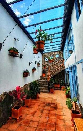 Apartahotel los Tucanes - Appartement À Deux Chambres