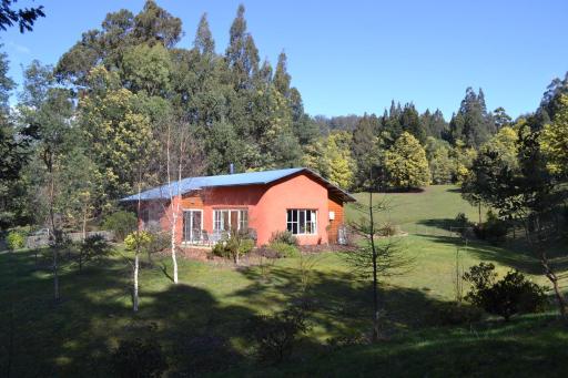 Whispering Spirit Holiday Cottages & Mini Ponies - Housity
